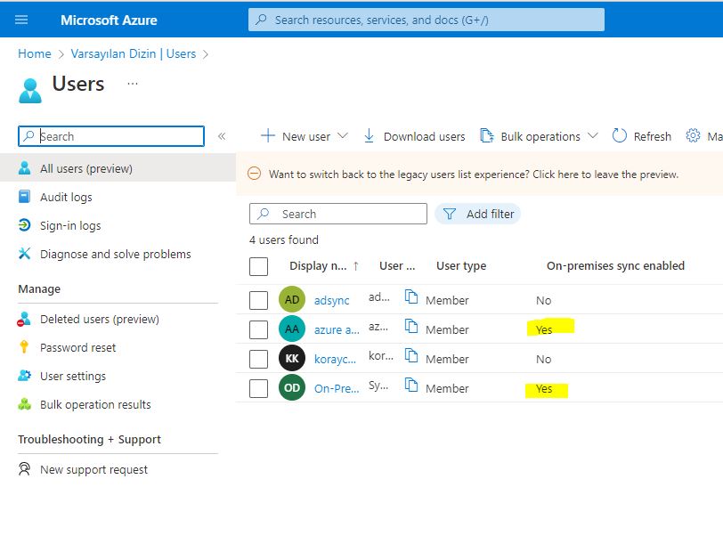 Azure Active Directory Users